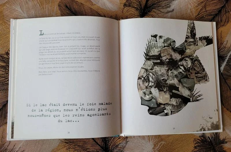 Het vermoorde meer Laurent Chabin, Christine Delezenne (Illustraties) – photo 5